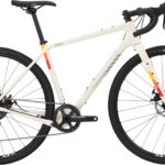 Salsa Warbird Carbon 2020