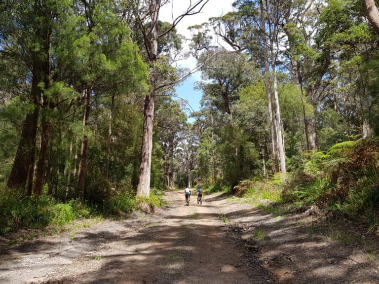 Top 5 MTB Trails Near Perth With Some Gravel Riding!