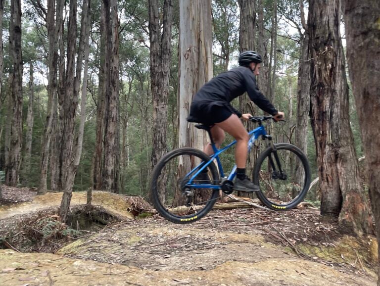 Trek Marlin Gen 3 Complete Lineup Review – Which 2026 Model is Right for You?